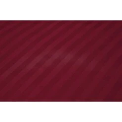 Ten Cate 100% Katoensatijnen Lits Jumeaux Dekbedovertrek - 240x200/220 - Rood -Leen Bakker Winkel 1000023983 0111