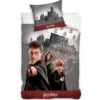 Harry Potter Dekbedovertrek Zweinstein - Eenpersoons - 140 X 200 Cm - Katoen -Leen Bakker Winkel 1000025597