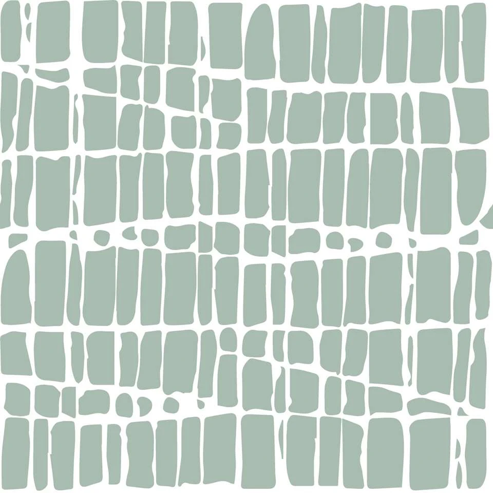 Mistral Home Dekbedovertrek 100% Katoen Crocodilia 200x200 Cm 5 Mistral Home Dekbedovertrek 100% Katoen Crocodilia 200x200 Cm - Afbeelding 3