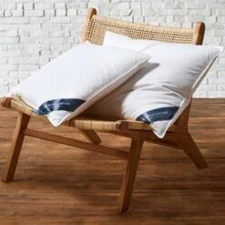 De Witte Lietaer Kussen Ducky - 60 X 70 Cm - Donsvulling -Leen Bakker Winkel 1163069466 0103