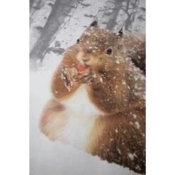 Papillon Milou Dekbedovertrek - 240x200/220 Cm - Multikleur -Leen Bakker Winkel 1195861761 0102