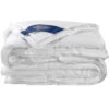 De Witte Lietaer Dekbed Ducky 4 Seasons - 140 X 220 Cm - Donsvulling -Leen Bakker Winkel 1373517524