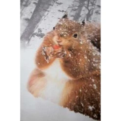 Papillon Milou Dekbedovertrek - 140x200/220 Cm - Multikleur -Leen Bakker Winkel 1387452107 0102