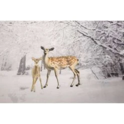 Papillon Dekbedovertrek Marijn - 140x200/220 Cm - Multikleur -Leen Bakker Winkel 1767785468 0103