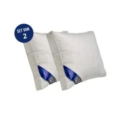 Ten Cate Boxkussen - Halfdons - 60x70 - 2 Stuks 9 Ten Cate Boxkussen - Halfdons - 60x70 - 2 Stuks -Leen Bakker Winkel 1f21edeee77b4d558e4e9094c8fe9b22