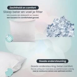 Troonz Hoofdkussen One - Verkoelend, Afmeting 60 X 70 Cm -Leen Bakker Winkel 2931a43ca64240289ff0d9594767401e