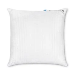 Troonz Verkoelend Hoofdkussen One - 80x80 Cm -Leen Bakker Winkel 34eeecde44e04ba0816093b52e0474be