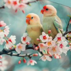 Good Morning Love Birds Dekbedovertrek Aqua-2-persoons (200 X 200/220 Cm) -Leen Bakker Winkel 3afd11925ca744c7b84414cff6ec43b4