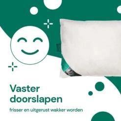 Ten Cate Cool Night Synthetisch Boxkussen - 50x60 13 Ten Cate Cool Night Synthetisch Boxkussen - 50x60 -Leen Bakker Winkel 4e2236767c864630983e7670ab7141b9