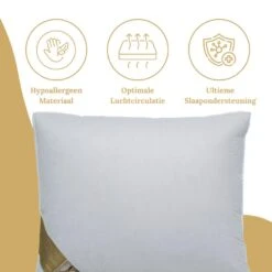 Ten Cate Ganzendonzen 3-Kamer Boxkussen - 60x70 13 Ten Cate Ganzendonzen 3-Kamer Boxkussen - 60x70 -Leen Bakker Winkel 5161185b1a5a4304ae4080233361bea5