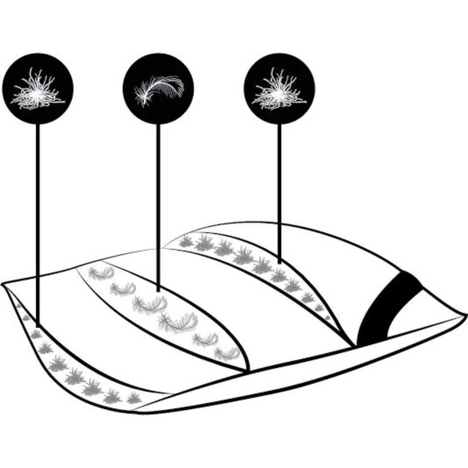 Ten Cate Ganzendonzen 3-Kamer Boxkussen - 60x70 9 Ten Cate Ganzendonzen 3-Kamer Boxkussen - 60x70 - Afbeelding 7