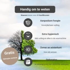 Troonz Hoofdkussen One - Verkoelend - 40x80 Cm -Leen Bakker Winkel 70cb3121e52c4f00bb58eac84ed04103 1