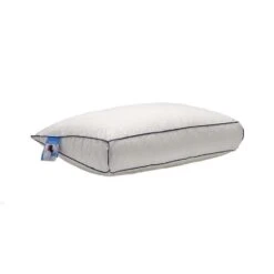 Ducky Dons Hoofdkussen AGR Comforel -Leen Bakker Winkel 81016576 0200