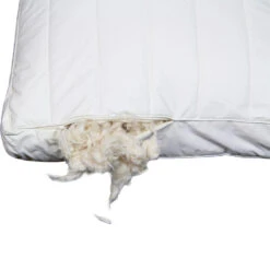 Polydaun Hoofdkussen First Kapok - 60x50 Cm 8 Polydaun Hoofdkussen First Kapok - 60x50 Cm -Leen Bakker Winkel 81024519 9000