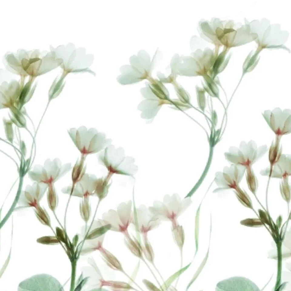 Cinderella Sereen Dekbedovertrek Satijn Wit-2-persoons (200 X 200/220 Cm) 6 Cinderella Sereen Dekbedovertrek Satijn Wit-2-persoons (200 X 200/220 Cm) - Afbeelding 4