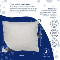 Ten Cate Boxkussen - Halfdons - 60x70 - 2 Stuks 11 Ten Cate Boxkussen - Halfdons - 60x70 - 2 Stuks -Leen Bakker Winkel 8e49b138e8ba46b9b1e0e1f06ad553c1