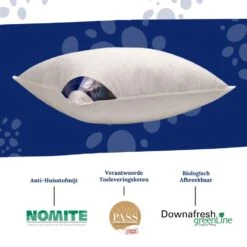 Ten Cate Halfdonzen Hoofdkussen - 60x70 - 2 Stuks -Leen Bakker Winkel 9866263dadb142b29f8a7e37ad7fb681