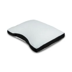 Troonz Hoofdkussen Livorno Plus Two -Leen Bakker Winkel 9f00863bac4549dcab7c9f1b5a19df80