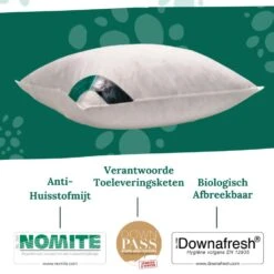 Ten Cate 100% Eendenveren Hoofdkussen - 60x70 12 Ten Cate 100% Eendenveren Hoofdkussen - 60x70 -Leen Bakker Winkel bacd2a26d602464a9ef49b3b7271b8f5 1