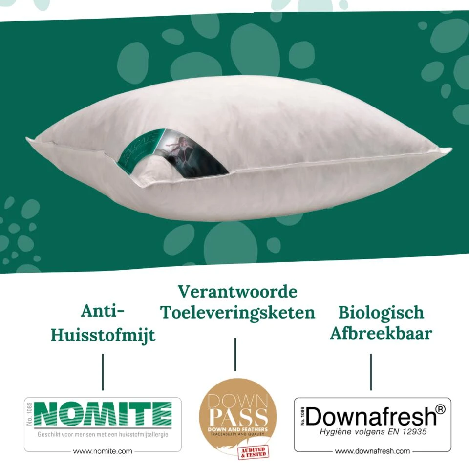 Ten Cate 100% Eendenveren Hoofdkussen - 60x70 4 Ten Cate 100% Eendenveren Hoofdkussen - 60x70 - Afbeelding 2