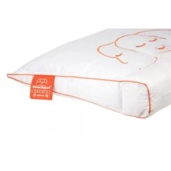 Silvana Hoofdkussen Support Saphir -Leen Bakker Winkel cf4b735004344c63b17b30aacdec9d11