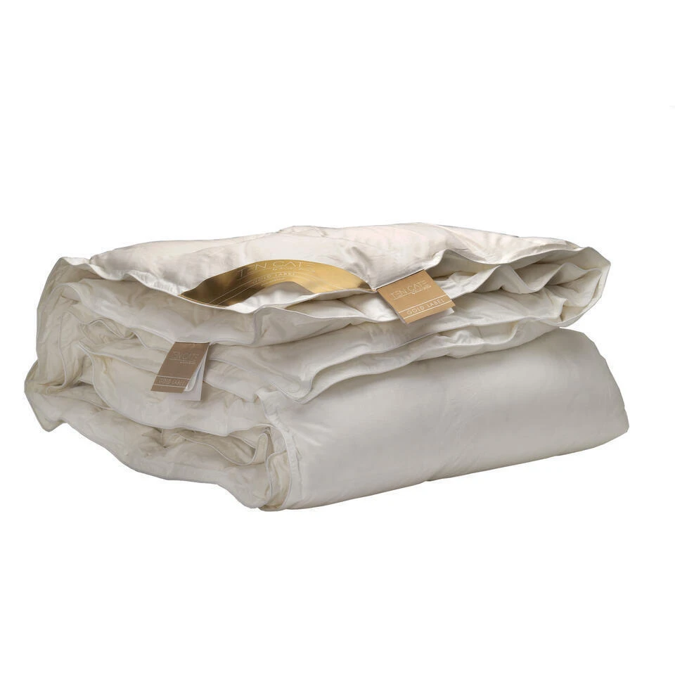 Ten Cate 100% Ganzendonzen 4-Seizoenen Dekbed 200x200 Cm 7 Ten Cate 100% Ganzendonzen 4-Seizoenen Dekbed 200x200 Cm - Afbeelding 5