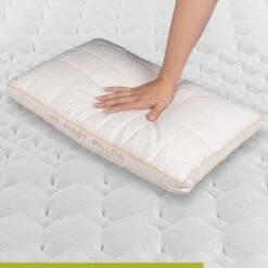 Vitapur - My First Pillow 40x60 Cm - 2 Stuks -Leen Bakker Winkel d31b0f6c86ea4d848277f2694ad3f1c4