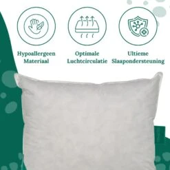 Ten Cate 100% Eendenveren Hoofdkussen - 60x70 - 2 Stuks 13 Ten Cate 100% Eendenveren Hoofdkussen - 60x70 - 2 Stuks -Leen Bakker Winkel ee8f7f10518f44789321c011cf132643