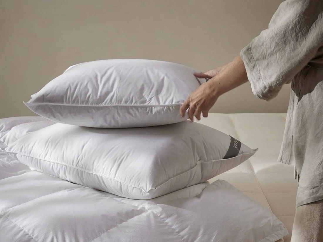Leen Bakker Winkel -Leen Bakker Winkel pillow down 1